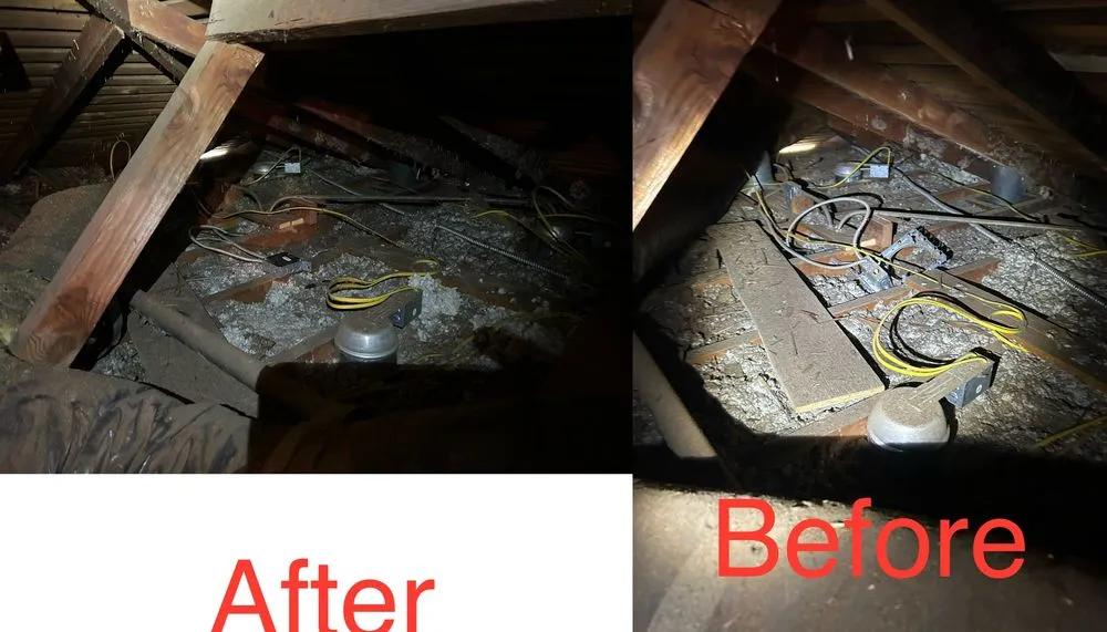 Slide of Top Rank Electric