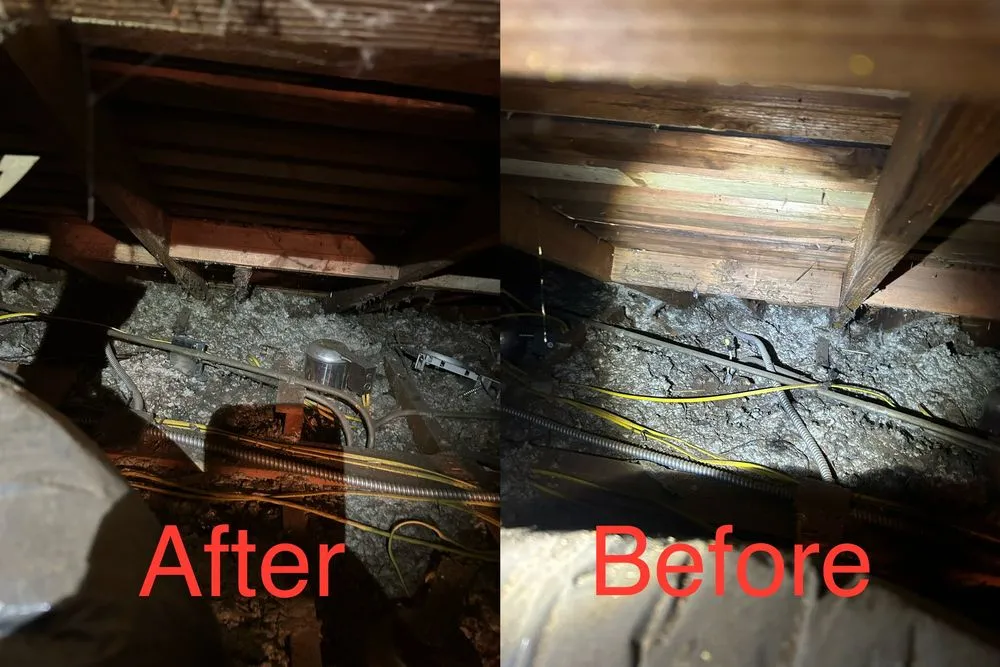 Slide of Top Rank Electric