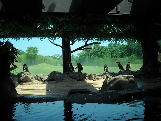 Certified electrical service for homes in outlet and switch repair,  by 