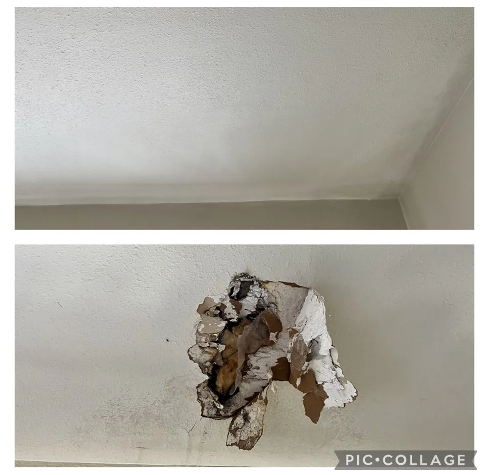 Slide of Torres handyman