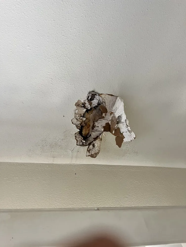 Slide of Torres handyman