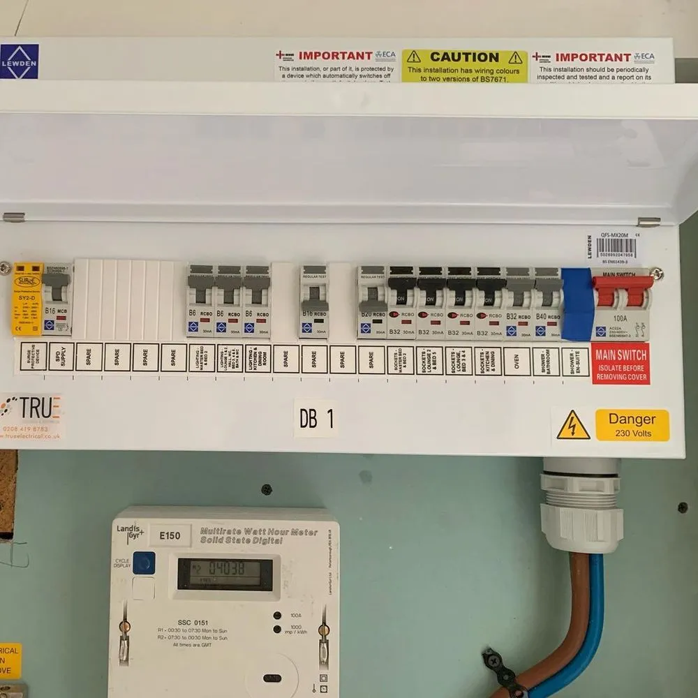 Slide of Tory Electricians