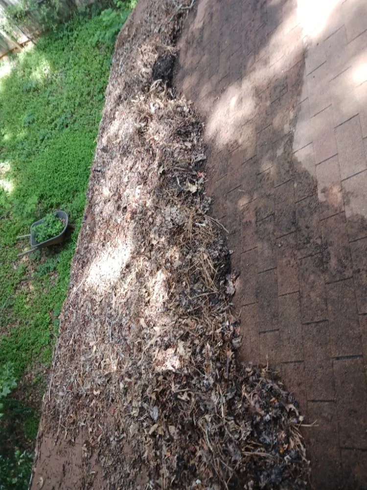 Slide of Total Home & Lawn Care