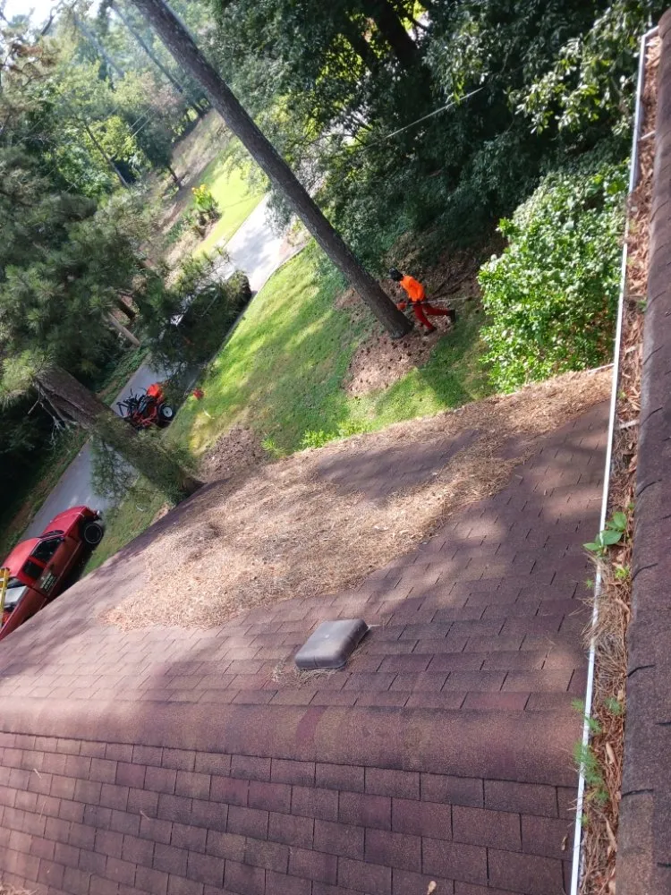 Slide of Total Home & Lawn Care