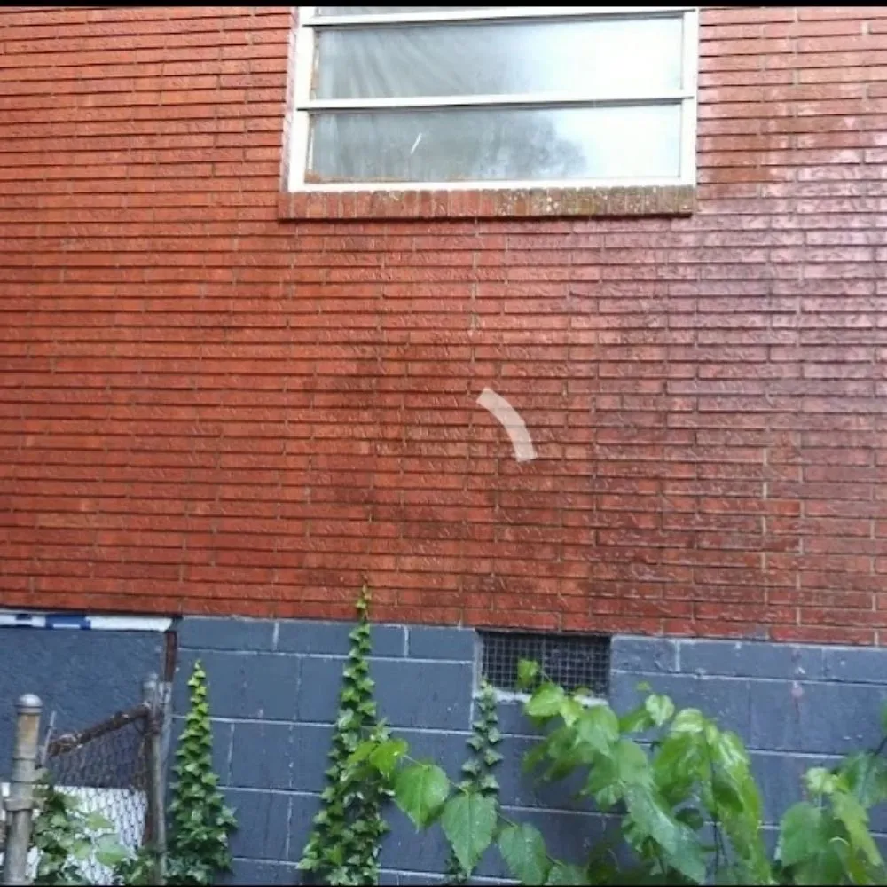 Slide of Total Home & Lawn Care