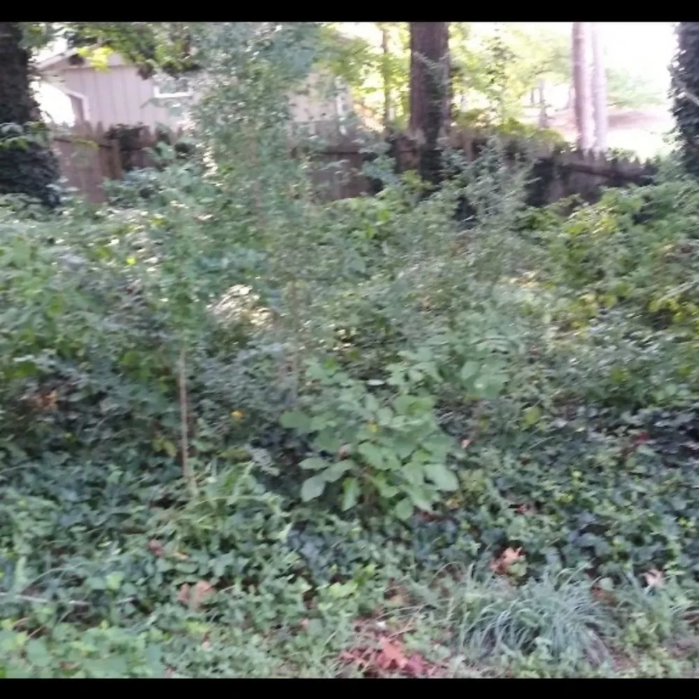 Slide of Total Home & Lawn Care