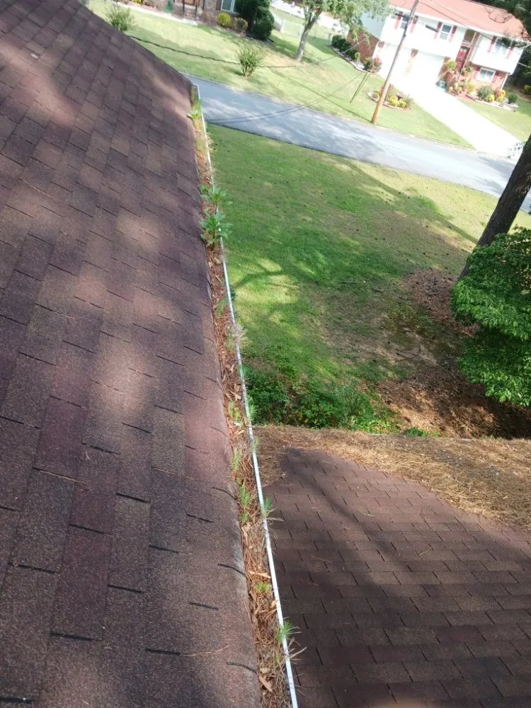 Slide of Total Home & Lawn Care