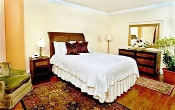 Slide of Touch Of Power Solutions