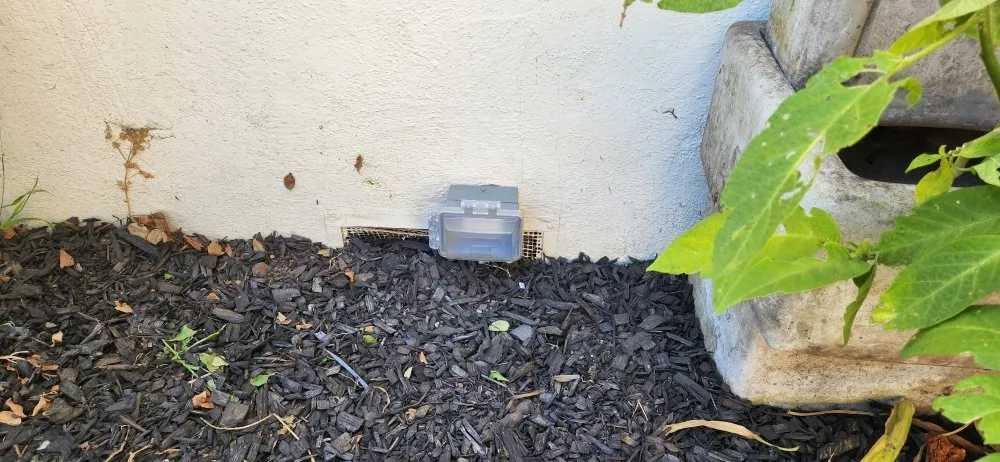 Slide of Tower's Electric