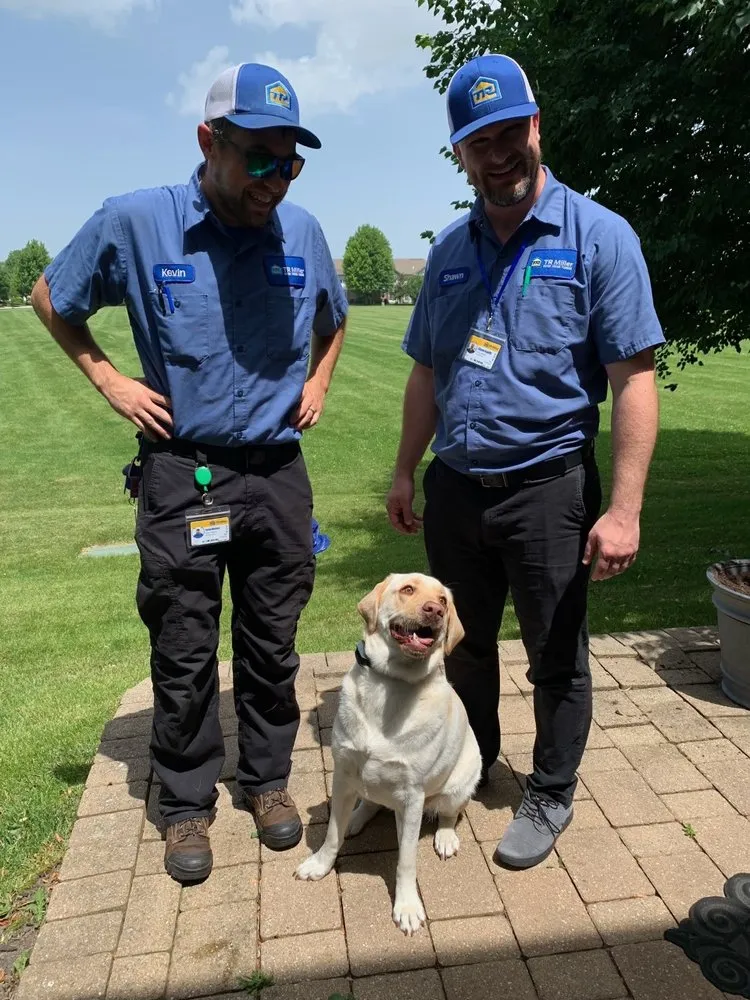 Expert lighting installation service in ,  - TR Miller Heating, Cooling, Plumbing & Electrical