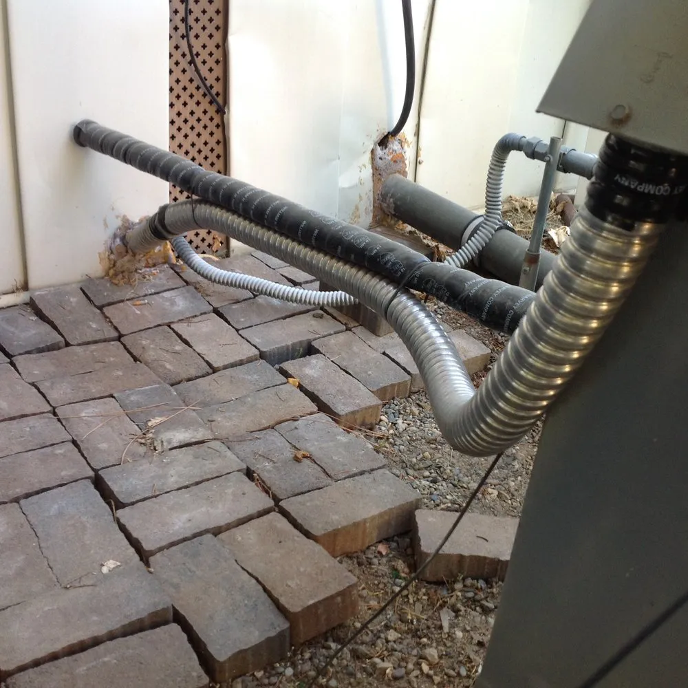 Slide of Tracy Frederick's Electric