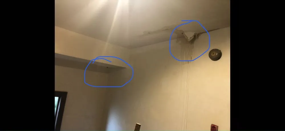 Slide of Trade Collaborators