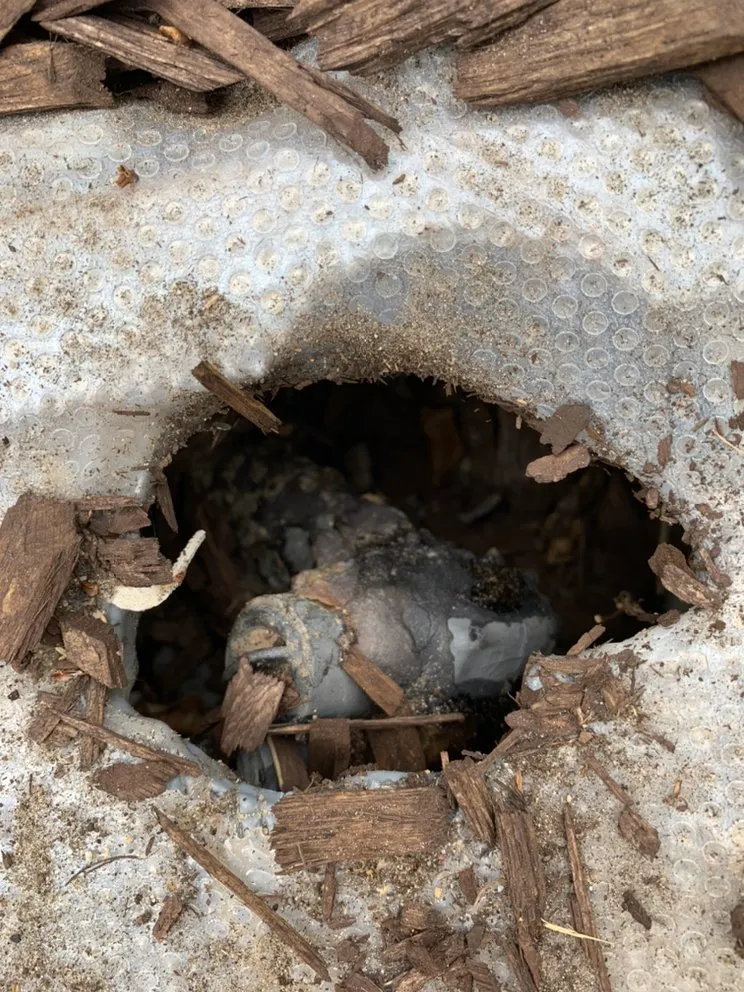 Emergency electrical service for homes in emergency electrical service, by