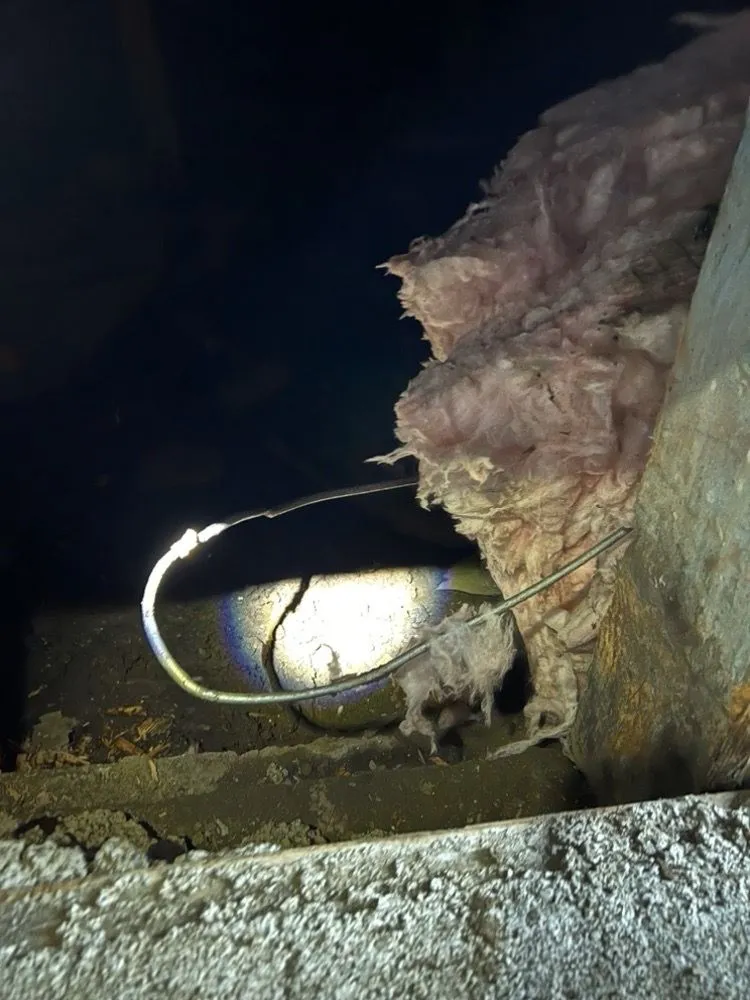 Slide of Travis Electric