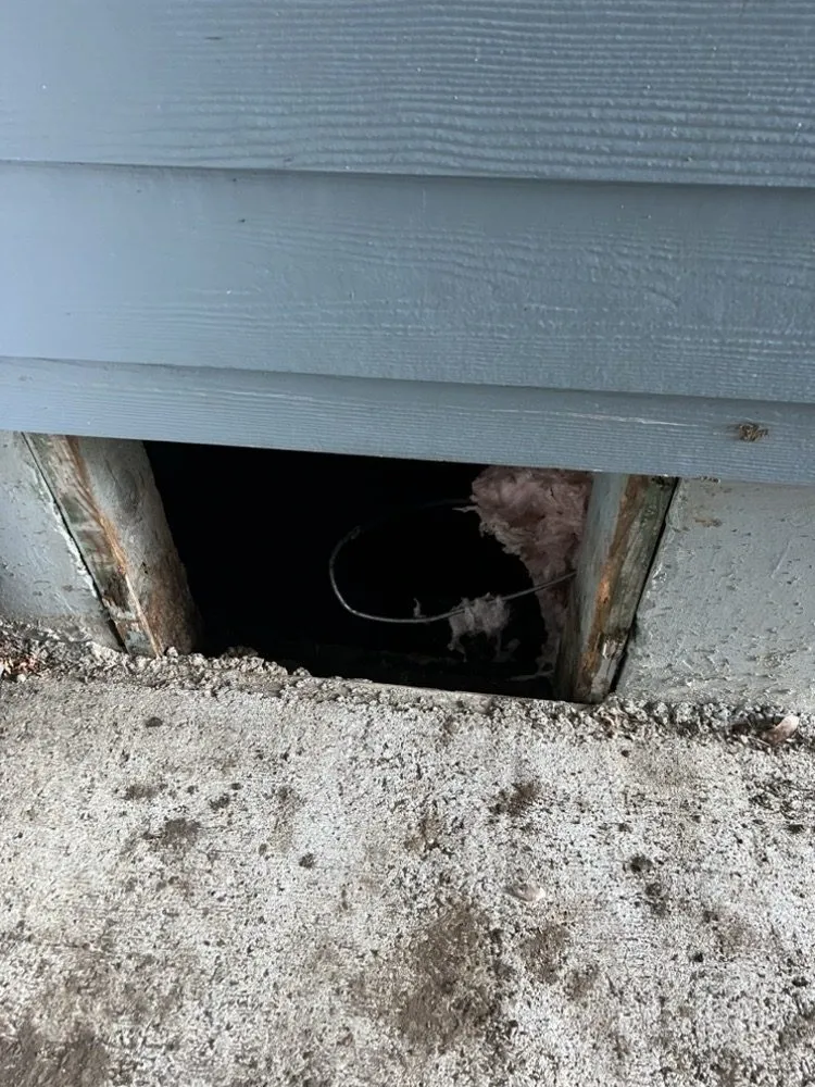 Slide of Travis Electric