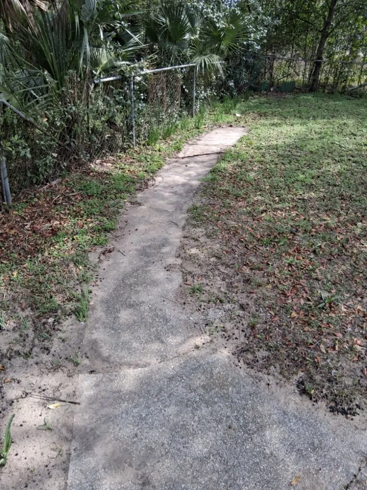 Slide of Trelveon Allen