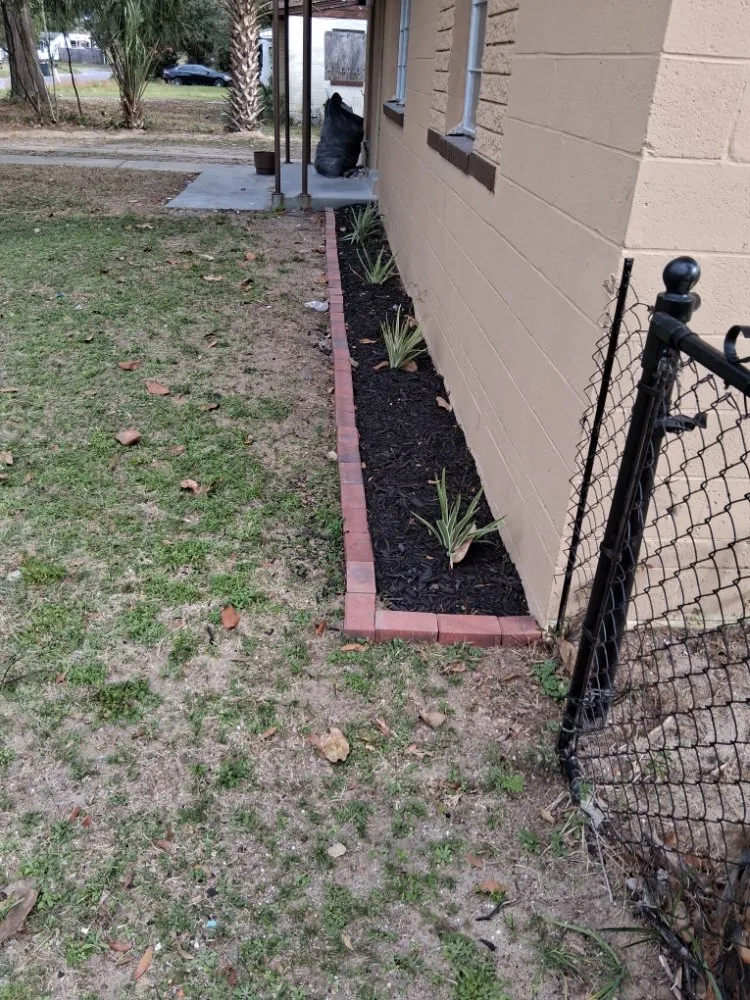 Slide of Trelveon Allen