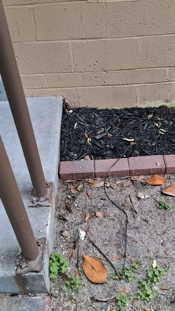 Slide of Trelveon Allen