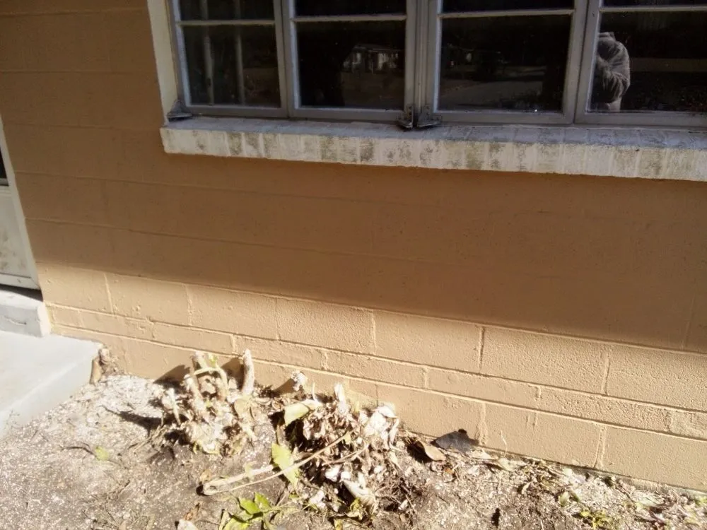 Slide of Trelveon Allen