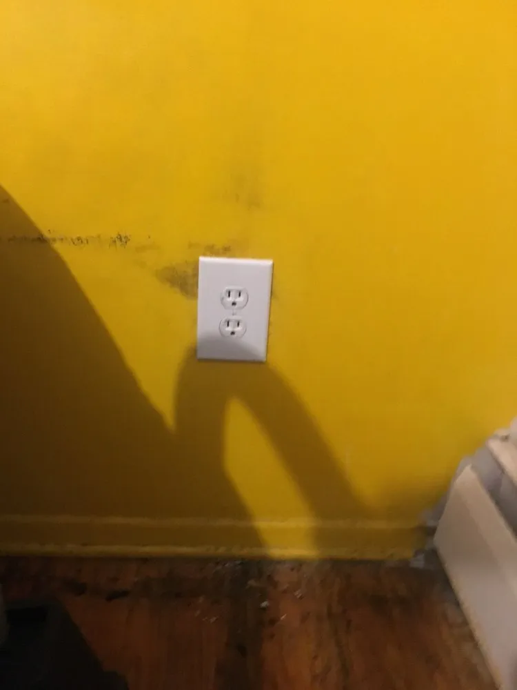 Slide of Tri-State Eco Plug