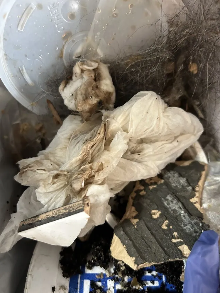 Licensed wiring installation service in ,  - Tri State Handywork