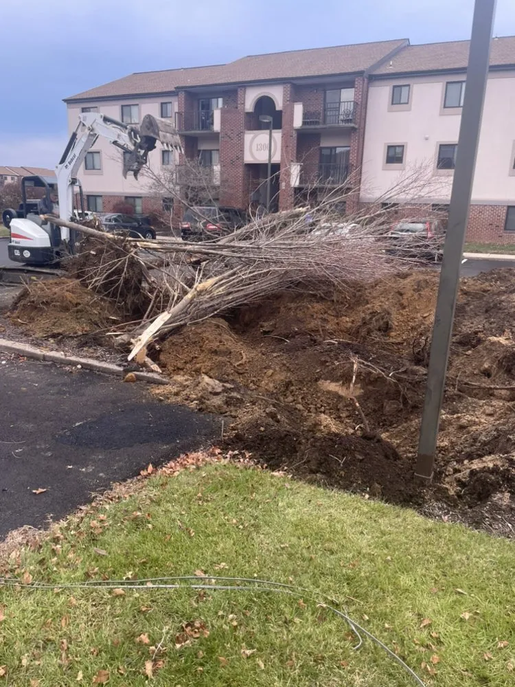 Slide of Trident Electrical Services