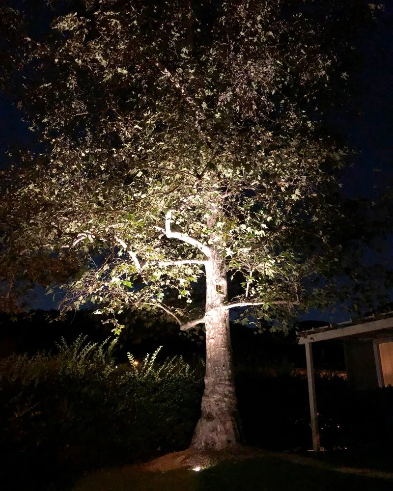 Slide of TRII Electric