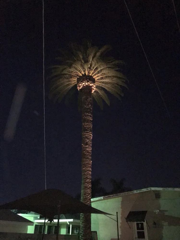 Slide of TRII Electric