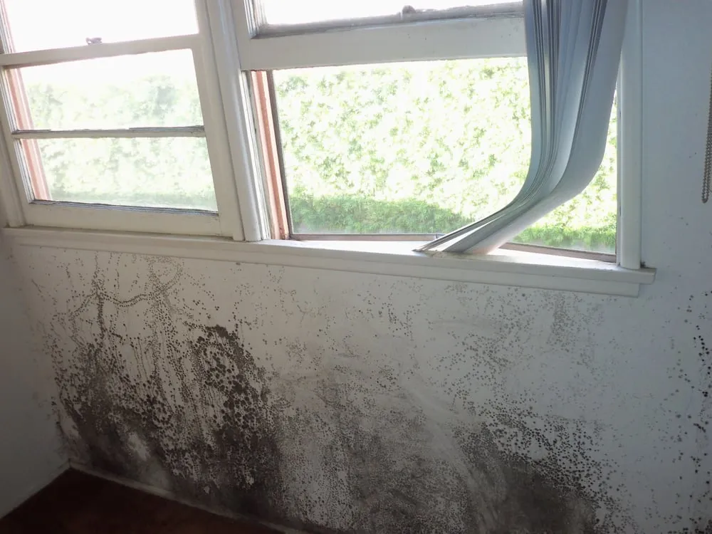 Slide of Triminio Construction