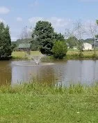 Slide of Triple S Electric