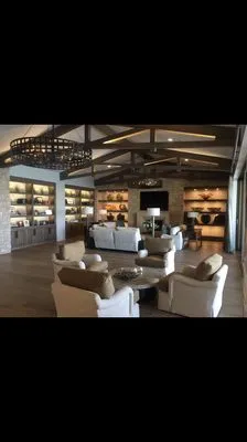 Trombino Electric and Solar Logo