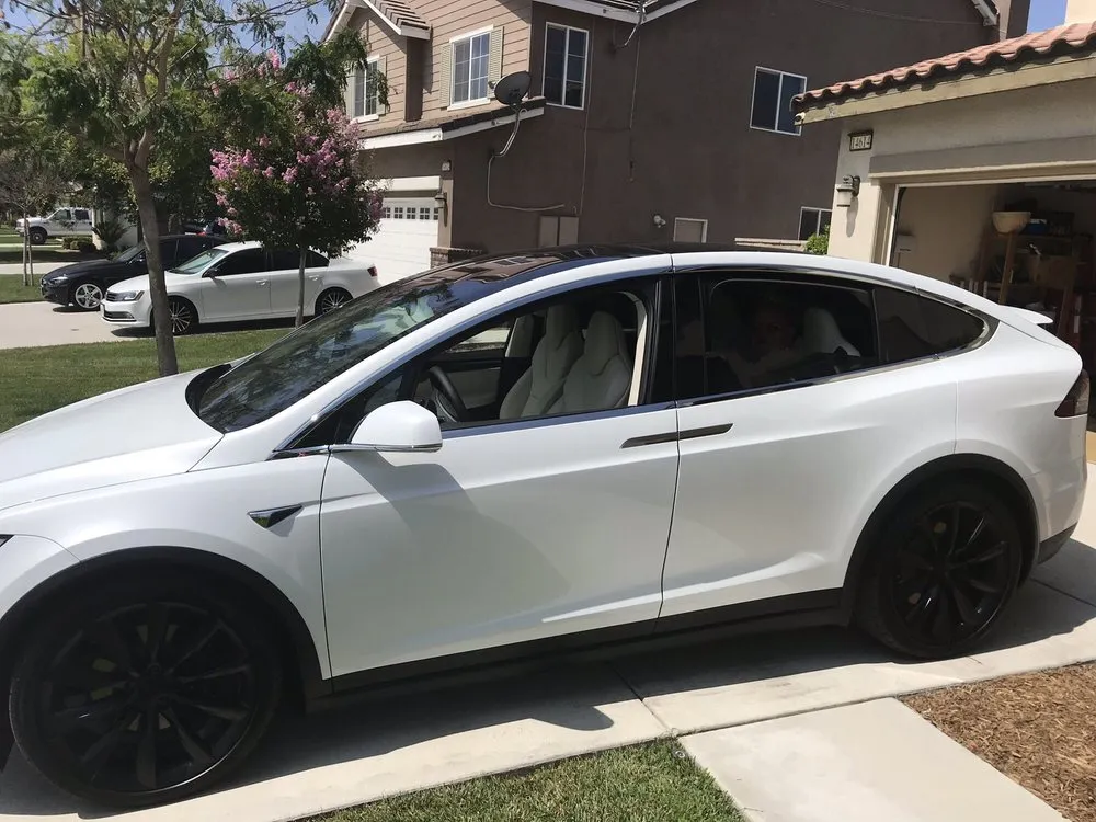 Slide of Trout Electric