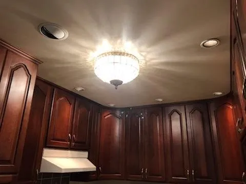 Slide of Trout Electric