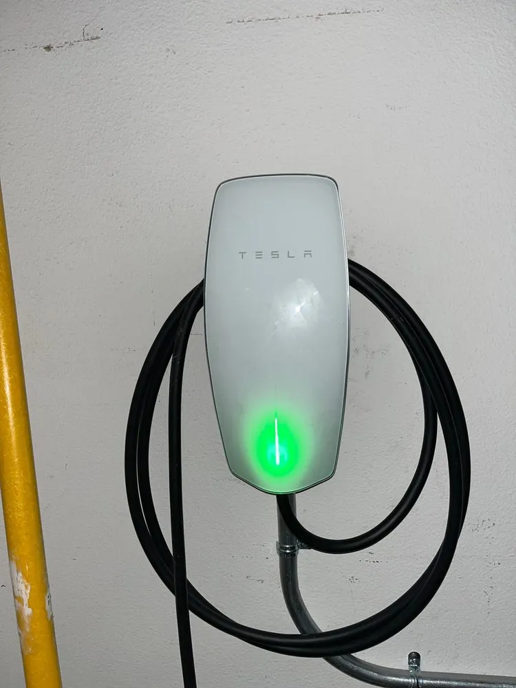 Slide of Trout Electric