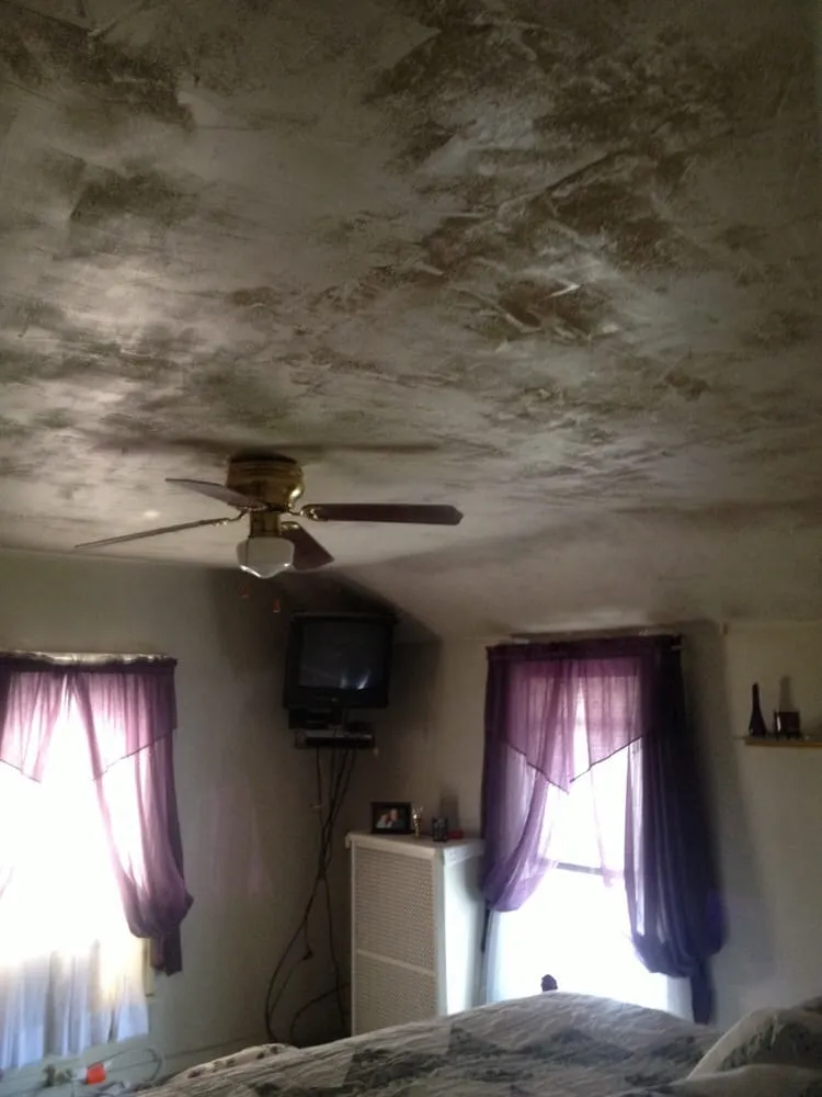 Slide of Trout Squared Construction