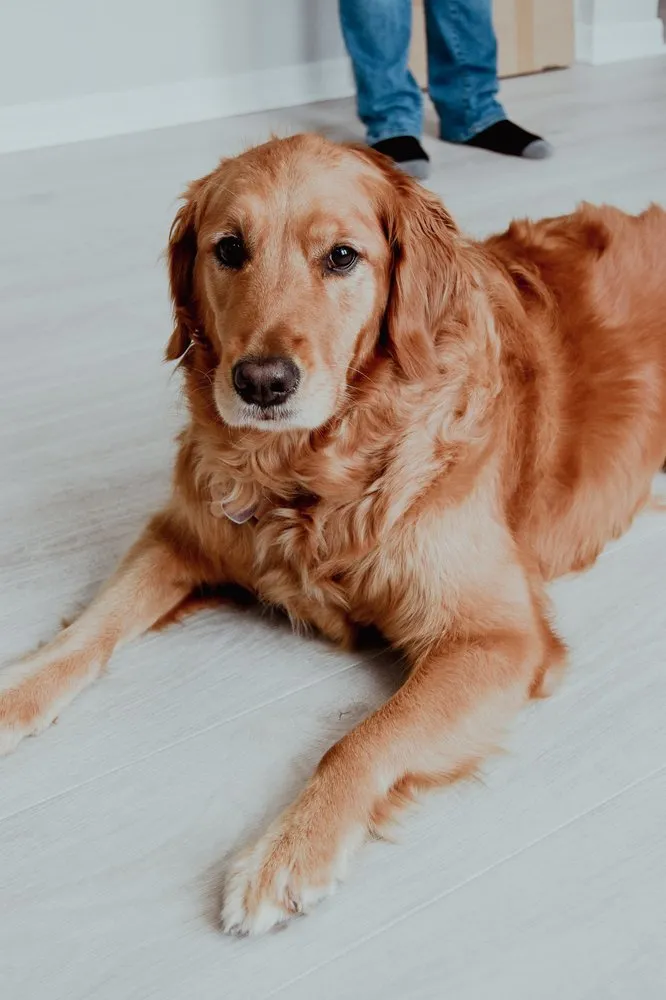 Slide of Tru-Line Electric