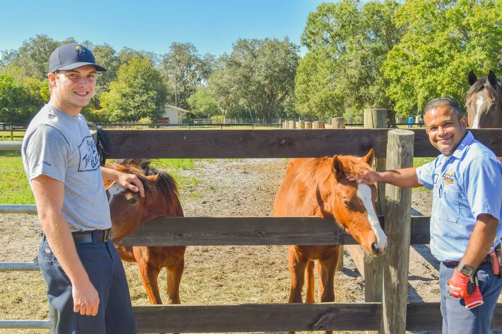 Slide of Tru-Line Electric