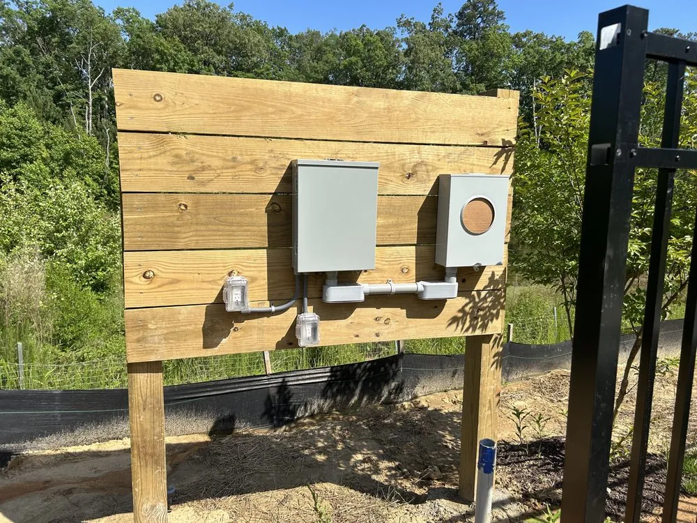 Slide of True Electric