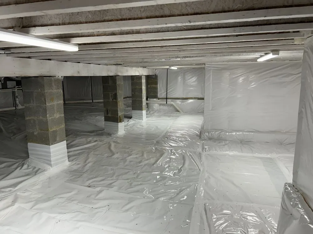 Slide of True Electric