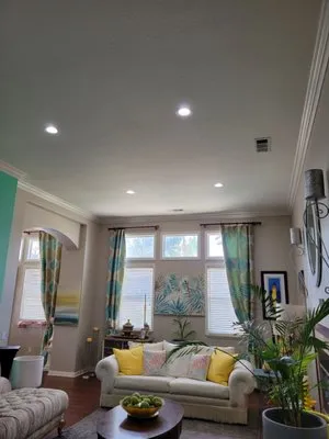 True Light Electric Logo