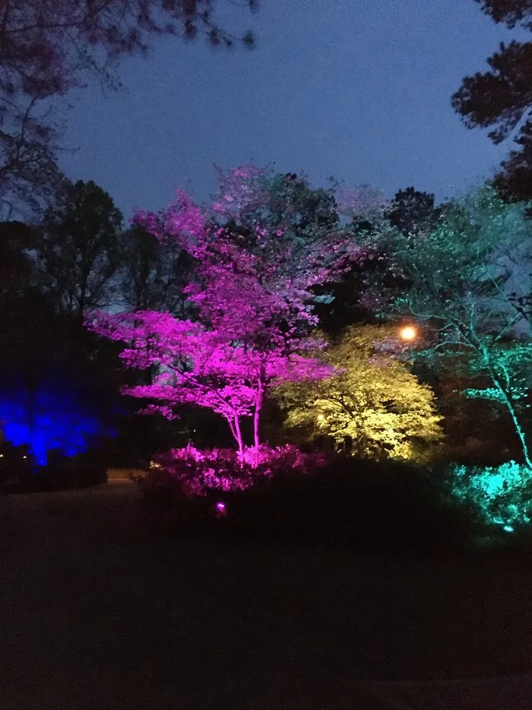 Slide of True Wire Electric