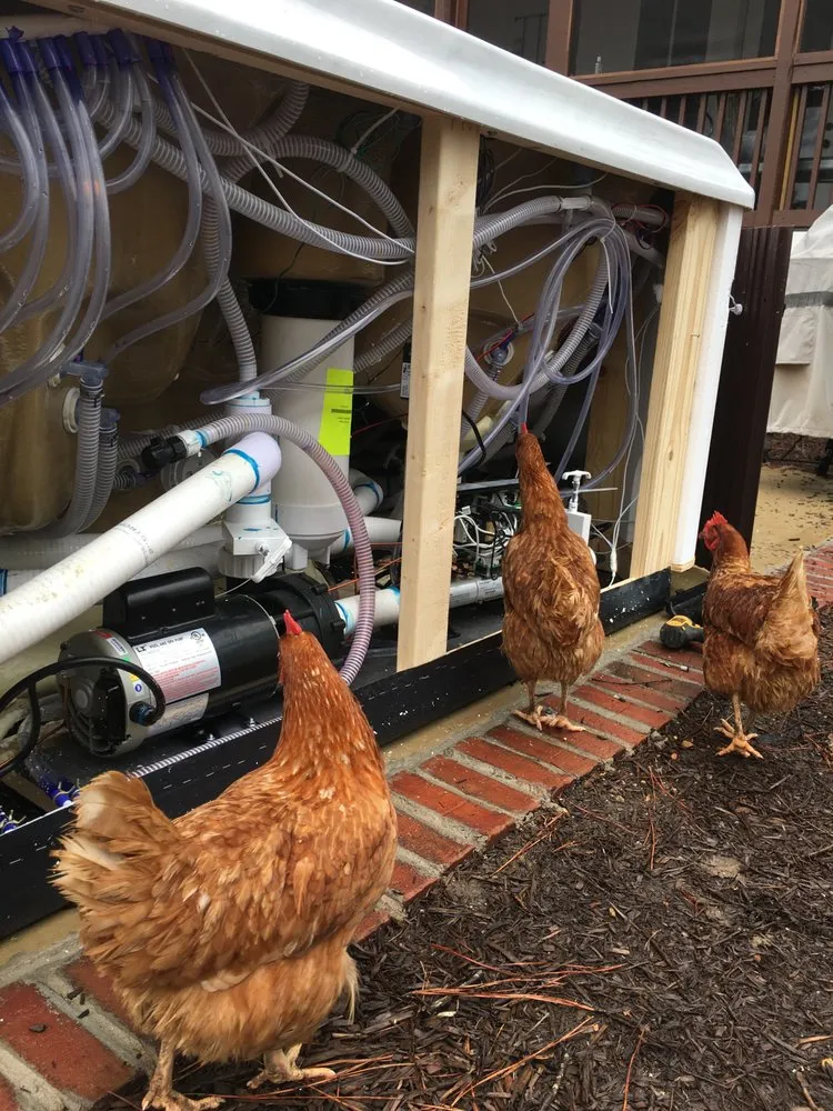 Reliable electrical service for homes in panel upgrade, by