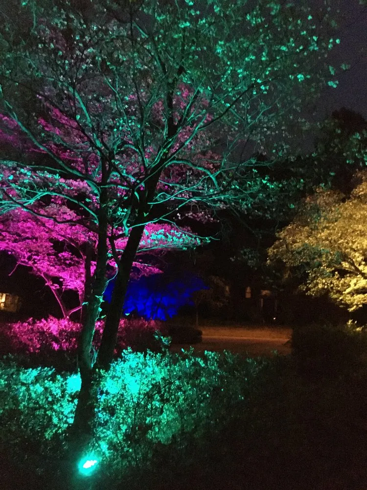 Slide of True Wire Electric