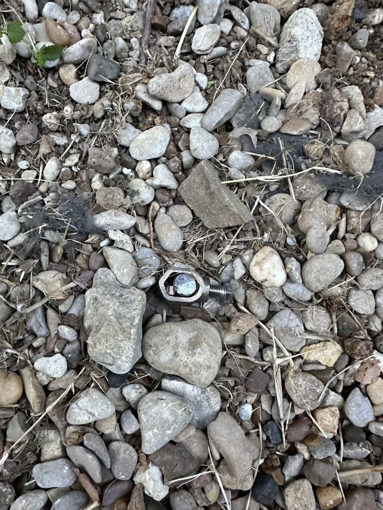 Slide of TrueServe Electric