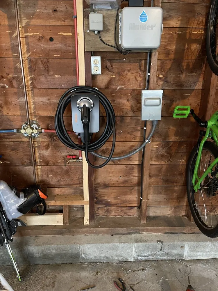 Slide of Truly Electric