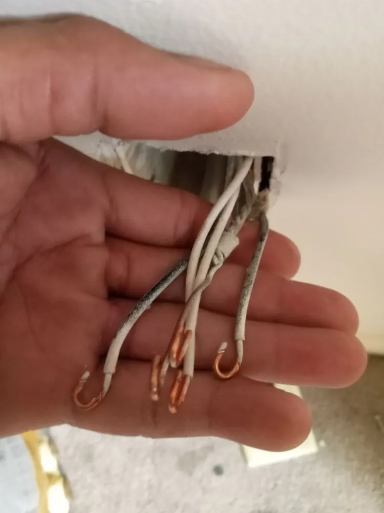 Slide of Truman Group