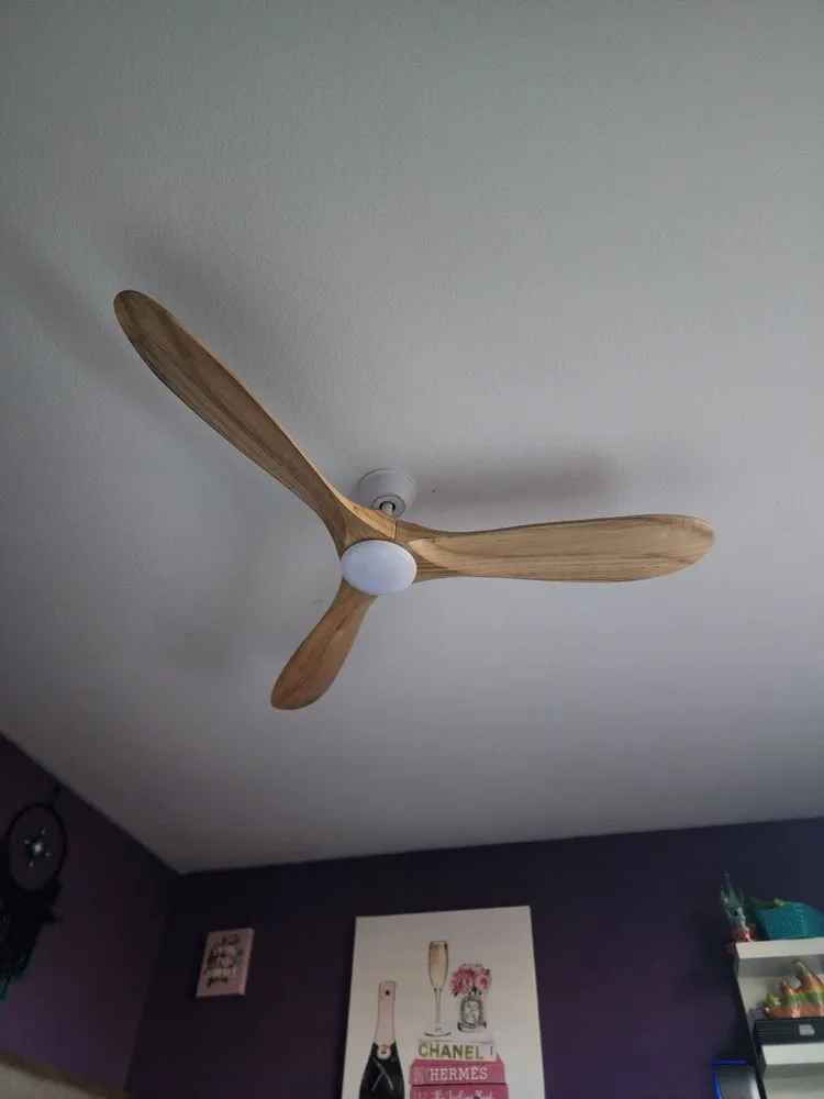 Slide of Trusted Electric