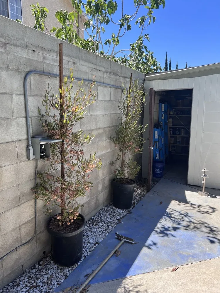 Slide of Truth Electric