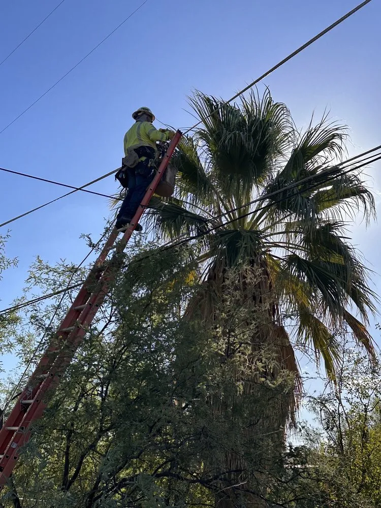 Slide of Tucson Electric Solutions