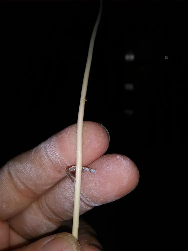 Certified electrician providing circuit breaker repair in , 